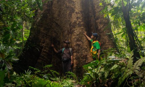 Forest Patrol in Indonesia (c) Stephanie Broekarts/IUCN NL