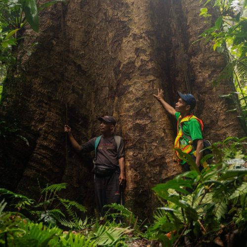 Forest Patrol in Indonesia (c) Stephanie Broekarts/IUCN NL