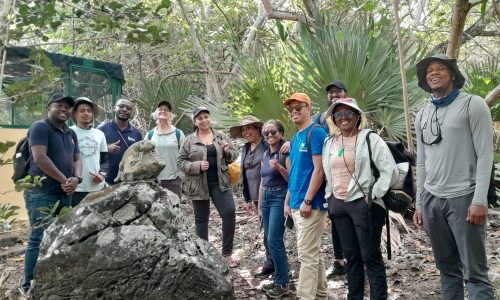 Photo: © Durrell Conservation training ltd Mauritius