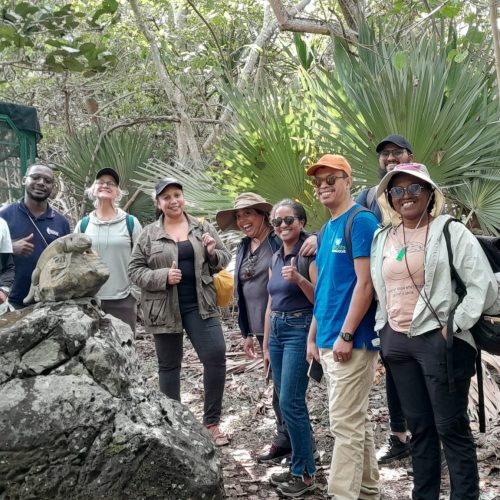 Photo: © Durrell Conservation training ltd Mauritius