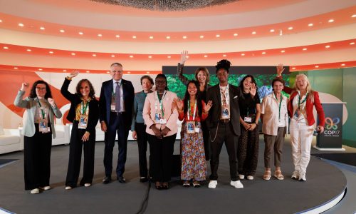 Irene Dankelman Young Ecofeminist Award 2026