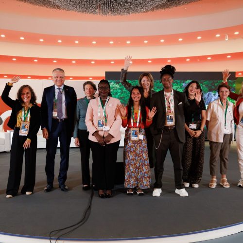 Irene Dankelman Young Ecofeminist Award 2026