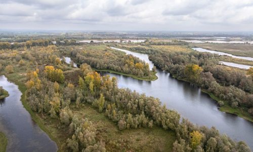 Millingerwaard@Marco-van-de-Burgwal -Staatsbosbeheer
